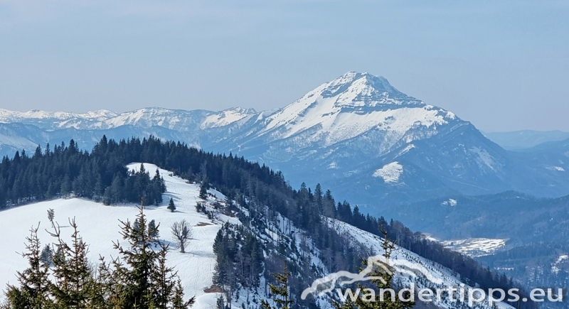 Tiroler Kogel - Niederösterreich