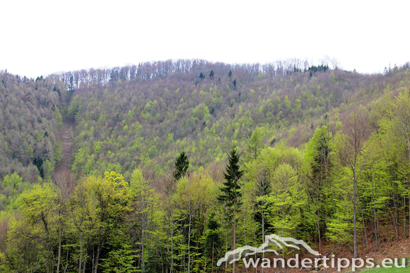 Kirchenberg von Norden Abbildung 8