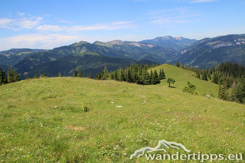 Senkstein/Ebenhütte Abbildung 11