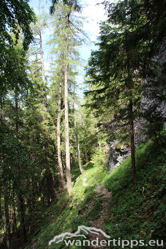 Senkstein/Ebenhütte Abbildung 12