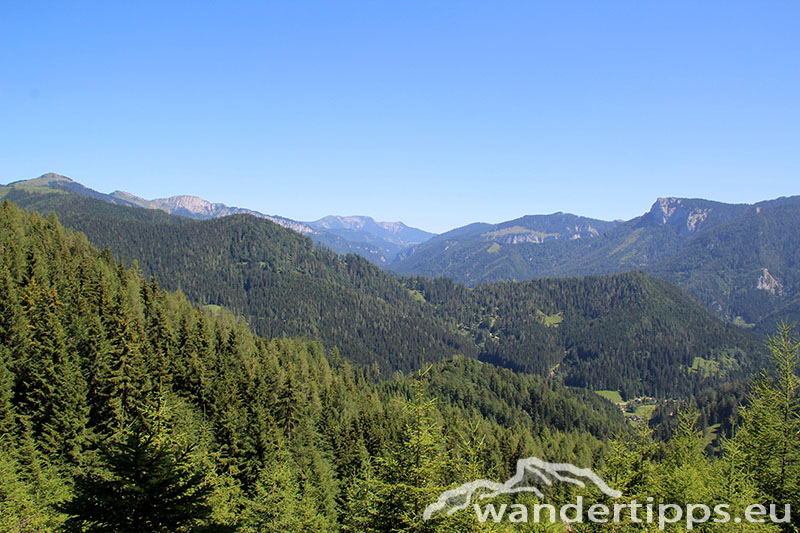 Senkstein/Ebenhütte Abbildung 3