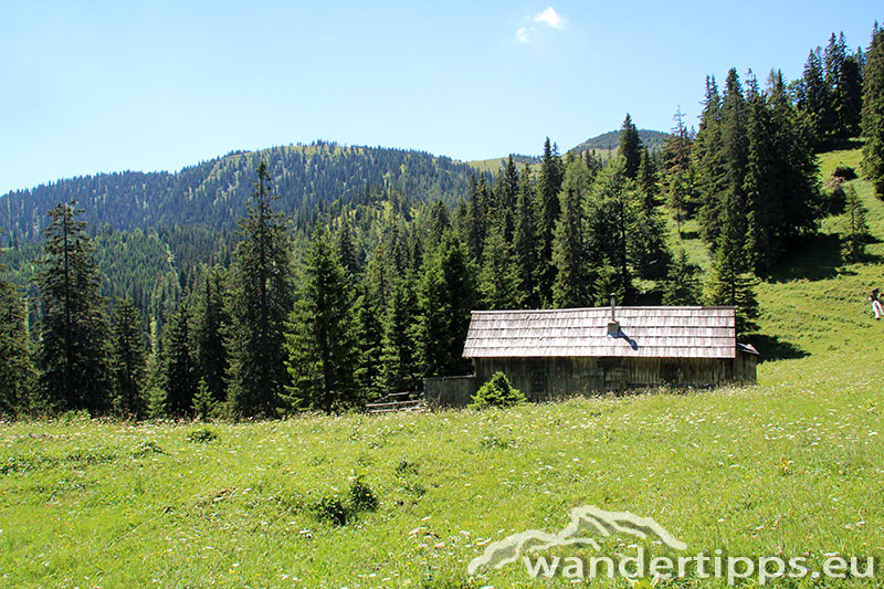 Senkstein/Ebenhütte Abbildung 4