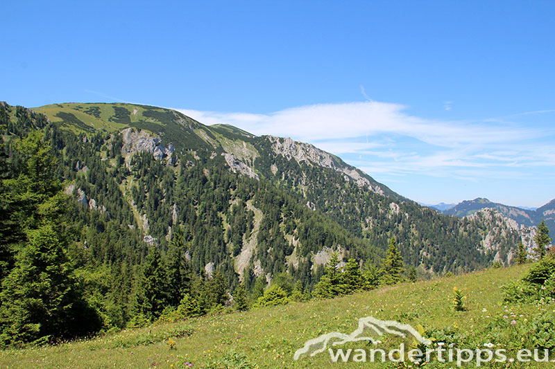 Senkstein/Ebenhütte Abbildung 5