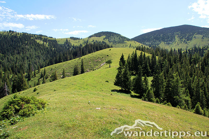 Senkstein/Ebenhütte Abbildung 6