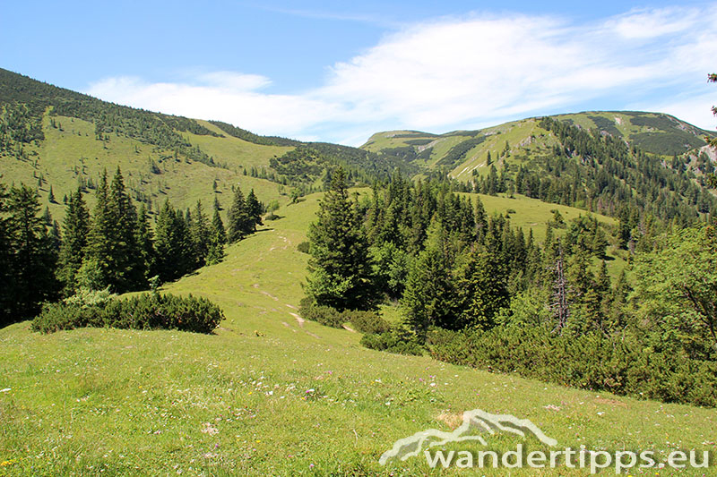Senkstein/Ebenhütte Abbildung 8