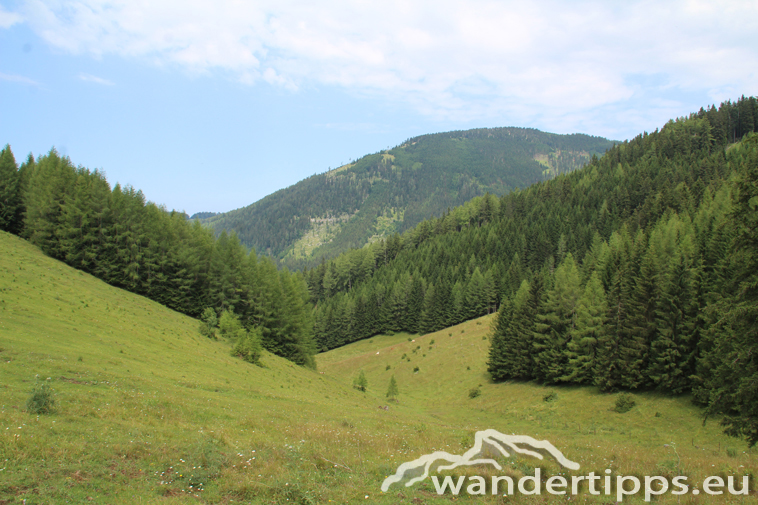 Tyrnauer Alm Abbildung 4