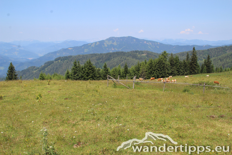 Tyrnauer Alm Abbildung 8