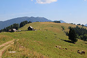 Wildalpe Abbildung 3