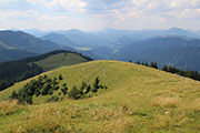 Wildalpe Abbildung 8