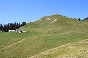 Kalkstein/Baumooskogel Abbildung 6