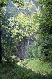 Dürrenstein/Herrenalm/Leonhard Kreuz Abbildung 10