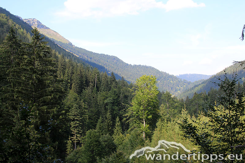 Dürrenstein/Herrenalm/Leonhard Kreuz Abbildung 9