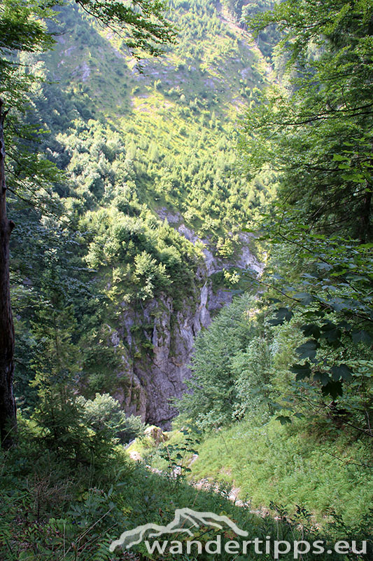 Dürrenstein/Herrenalm/Leonhard Kreuz Abbildung 10