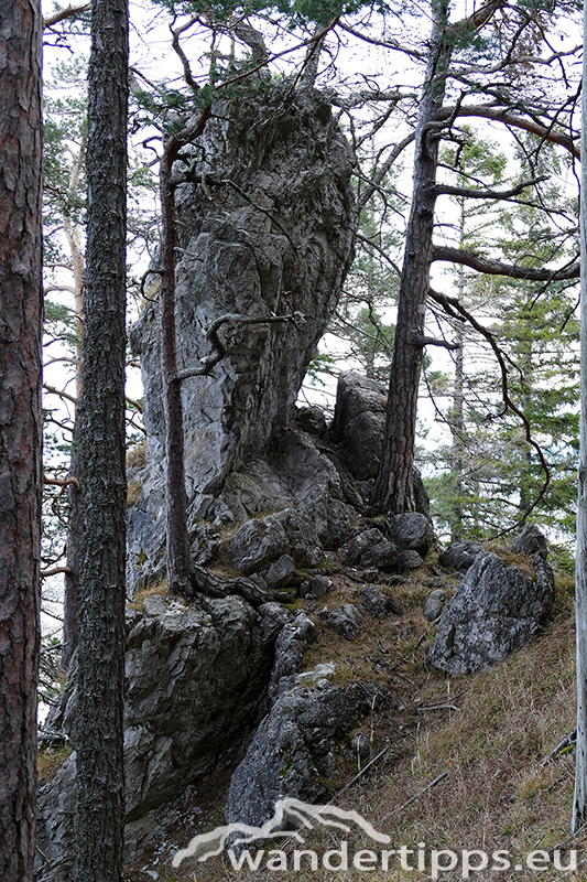Sonnwendstein/Erzkogel Abbildung 8