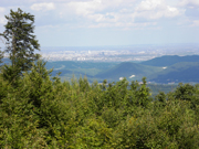 Hoher Lindkogel von Süden Abbildung 8