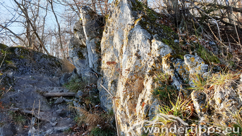 Hoher Lindkogel von Süden Abbildung 7