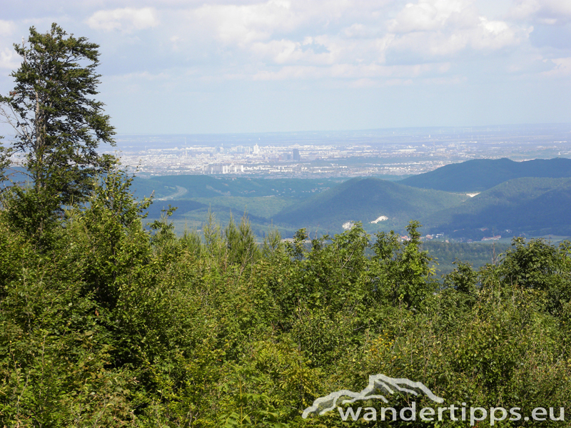 Hoher Lindkogel von Süden Abbildung 8