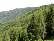 Hochbuchberg Abbildung 2