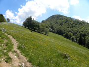 Hochbuchberg Abbildung 6