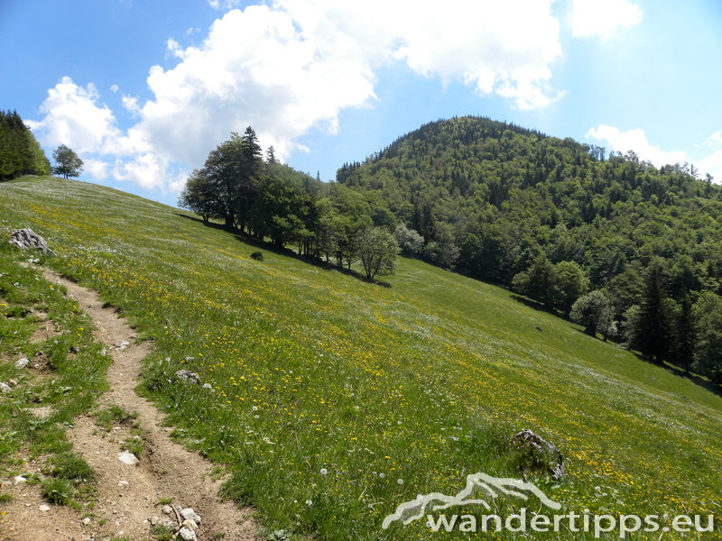 Hochbuchberg Abbildung 6