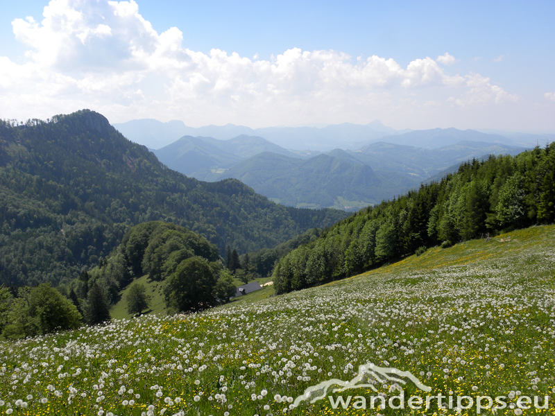 Hochbuchberg Abbildung 10