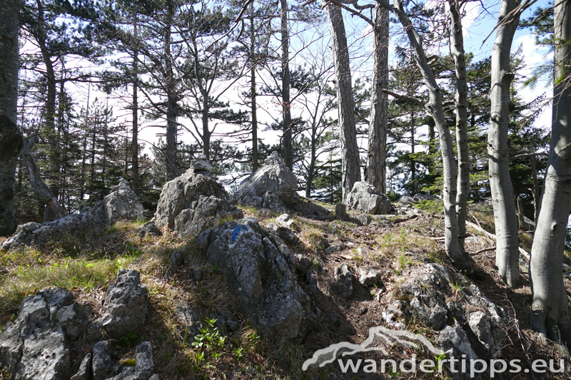 Hohe Mandling/Vordere Mandling Abbildung 11