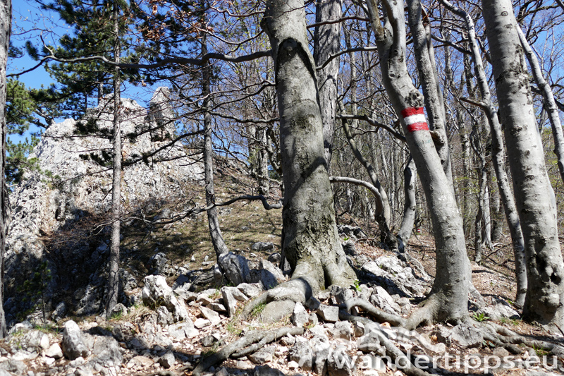 Hohe Mandling/Vordere Mandling Abbildung 6