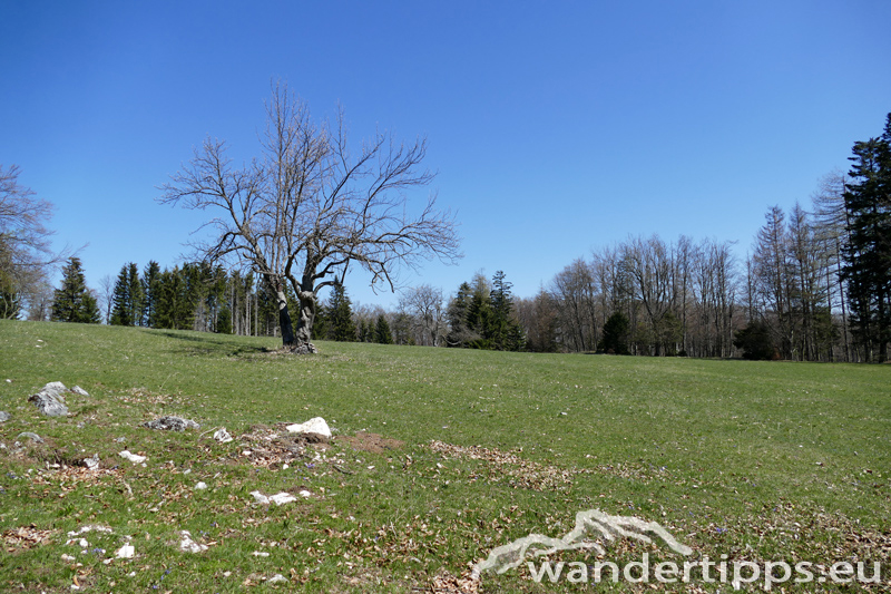 Hohe Mandling/Vordere Mandling Abbildung 7