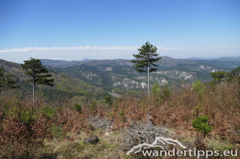 Hohe Mandling/Vordere Mandling Abbildung 10