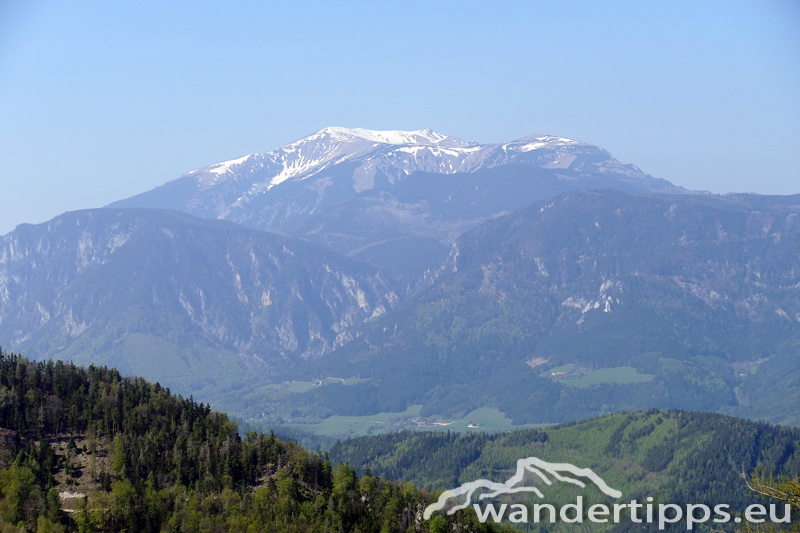 Großer Otter Abbildung 11