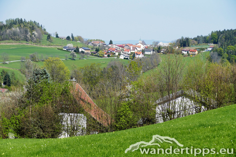 Großer Otter Abbildung 13