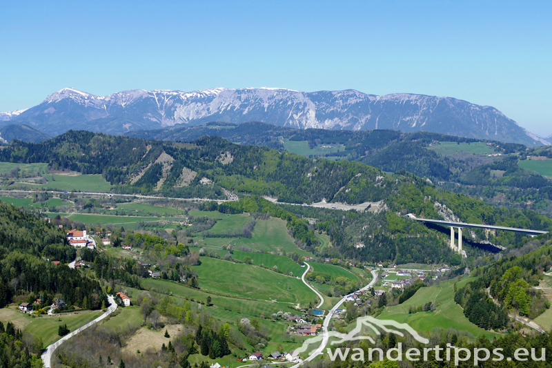 Großer Otter Abbildung 4
