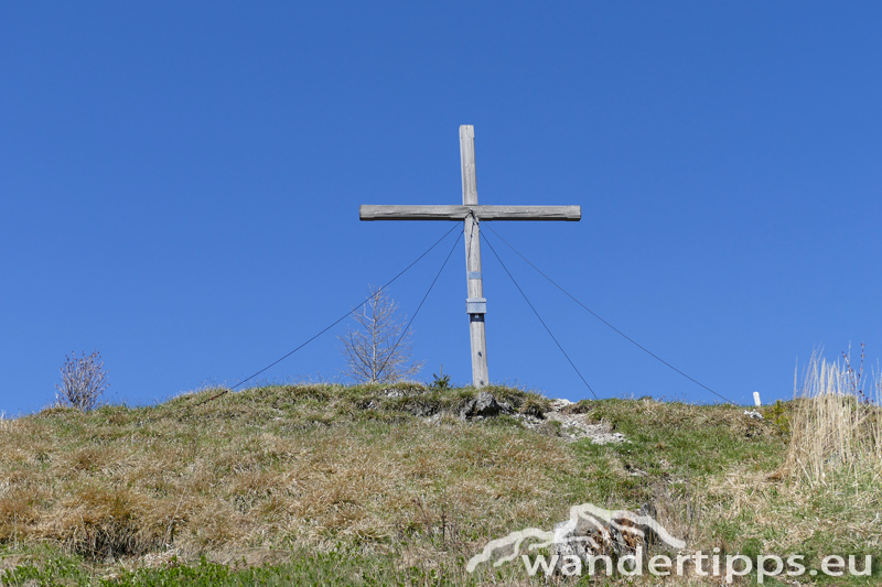 Großer Otter Abbildung 8