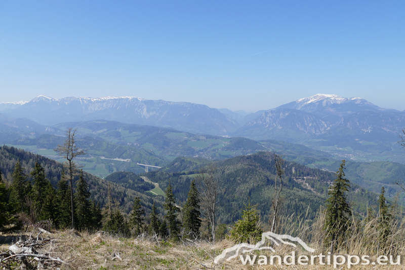 Großer Otter Abbildung 9