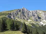 Hohe Veitsch von Süden Abbildung 15