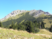 Hohe Veitsch von Süden Abbildung 7