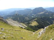 Hohe Veitsch von Süden Abbildung 9