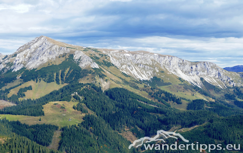 Hohe Veitsch von Süden Abbildung 1