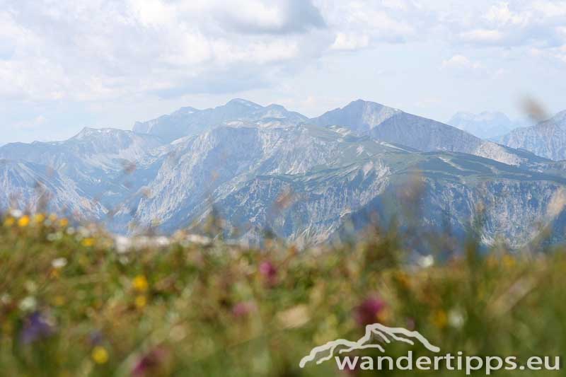 Hohe Veitsch von Süden Abbildung 11
