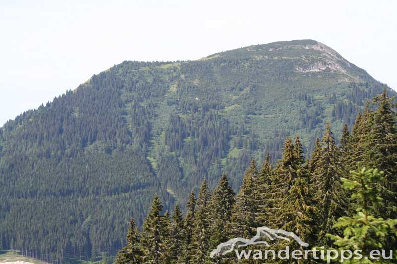 Hohe Veitsch von Süden Abbildung 5