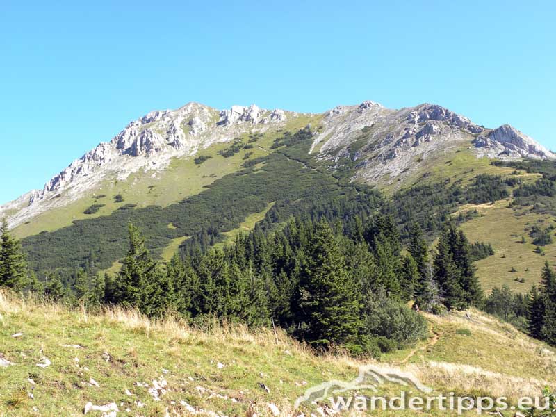Hohe Veitsch von Süden Abbildung 7