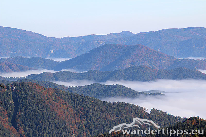 Schneeberg von Westen Abbildung 3