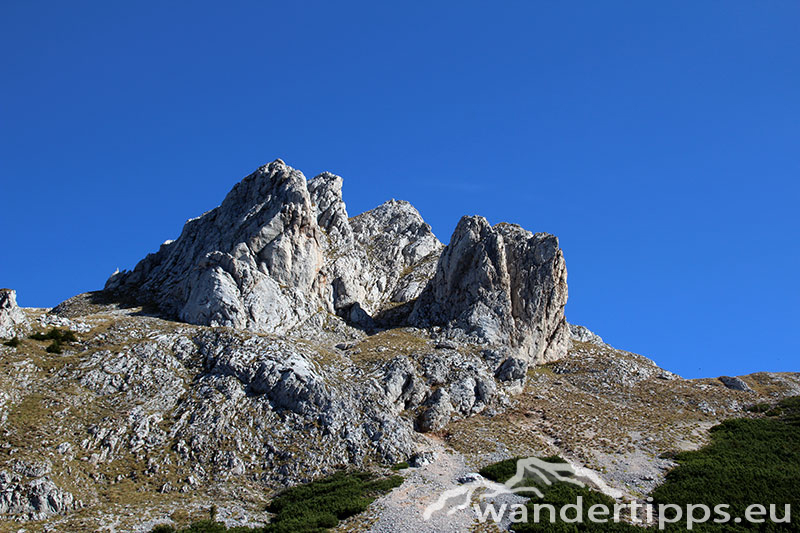 Schneeberg von Westen Abbildung 7