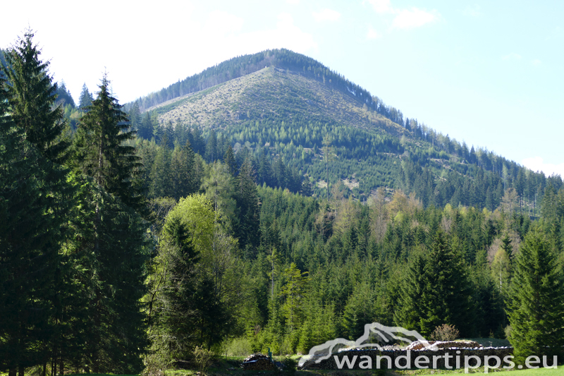 Bichleralpe Abbildung 2