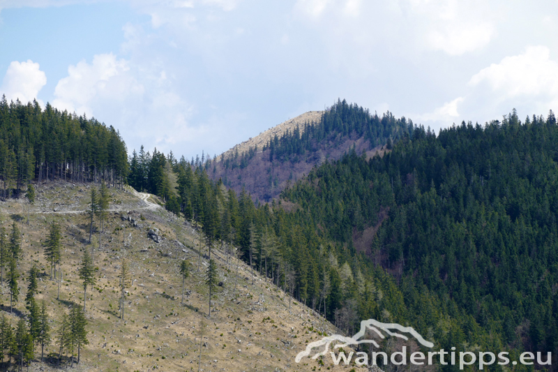 Bichleralpe Abbildung 11