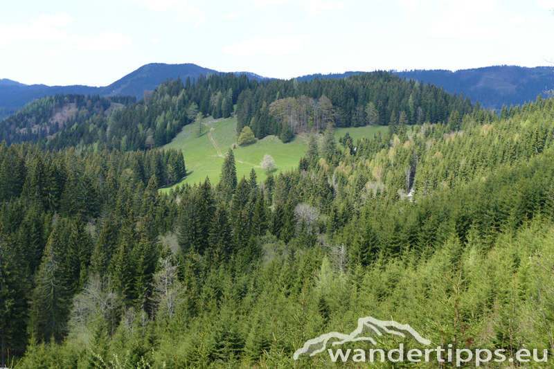 Bichleralpe Abbildung 12