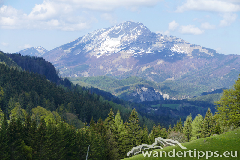 Bichleralpe Abbildung 4