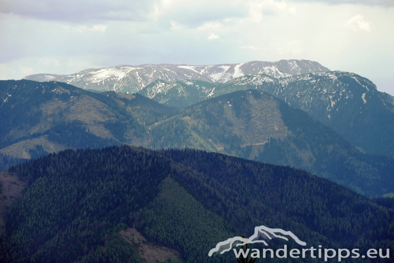 Bichleralpe Abbildung 9