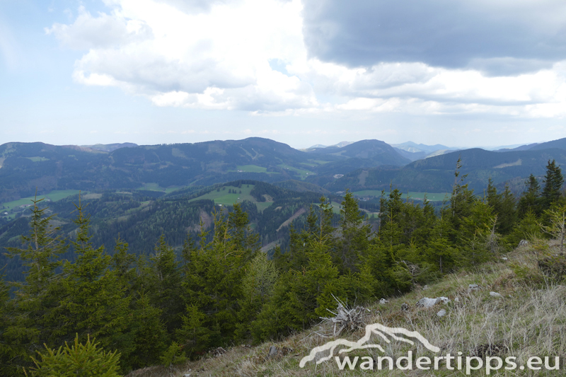 Bichleralpe Abbildung 10