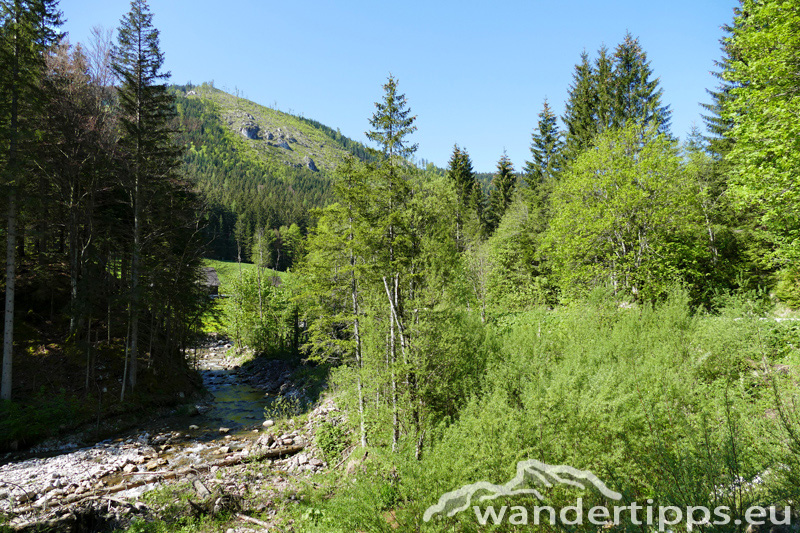 Krautgärten Abbildung 2